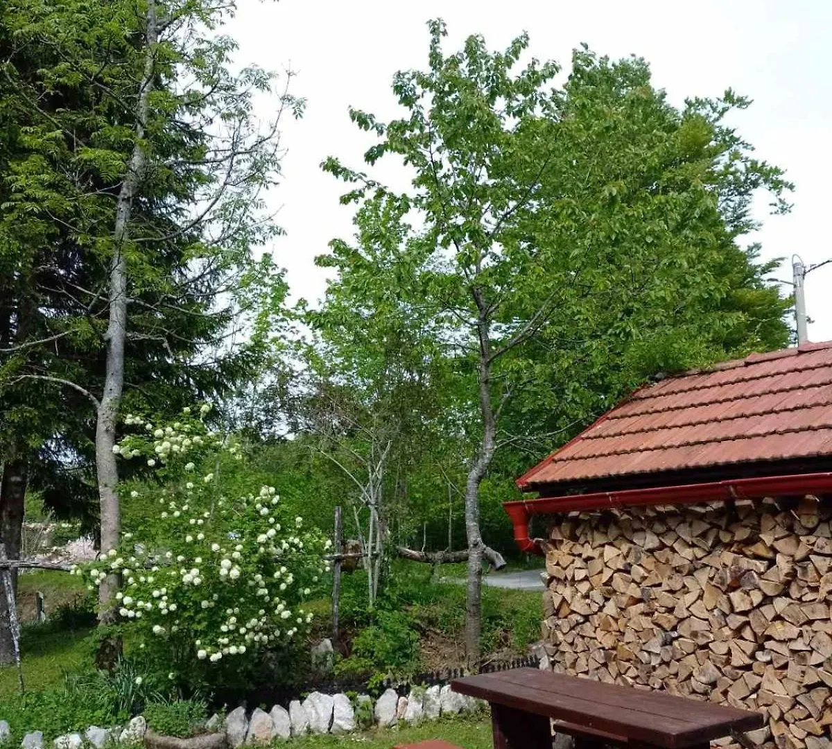 House Polane In The Forest, 45 Km From Seaside Vikendica