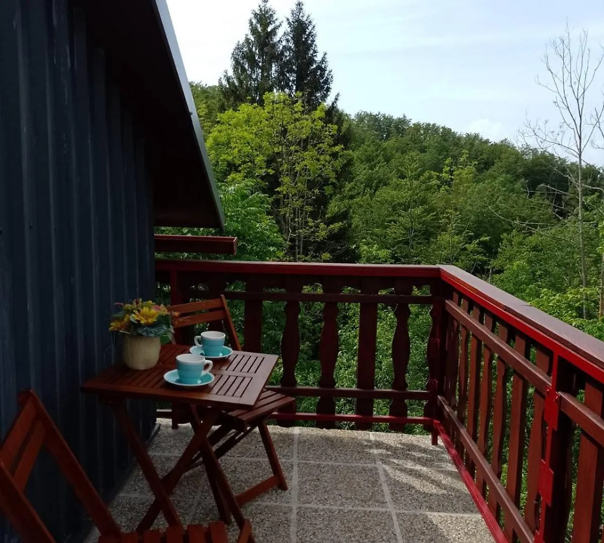 House Polane In The Forest, 45 Km From Seaside