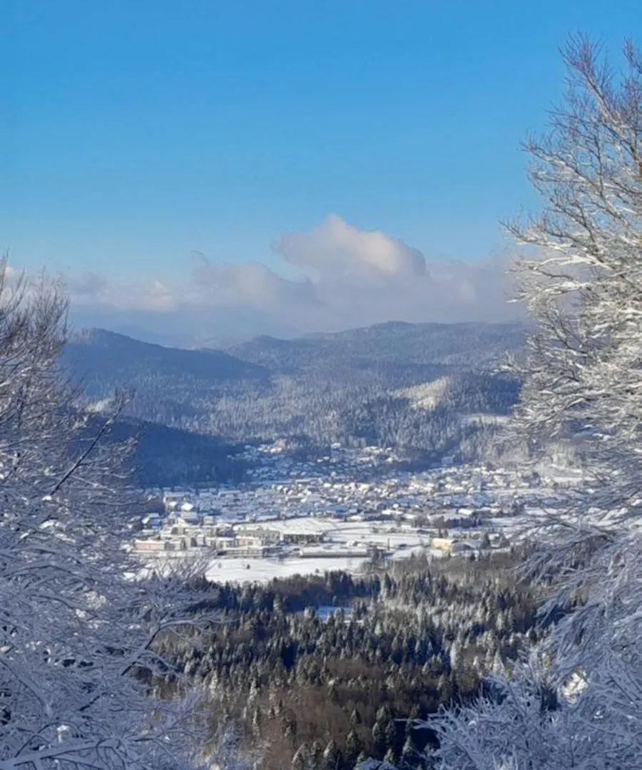 Holiday home House Polane In The Forest, 45 Km From Seaside Delnice Croatia