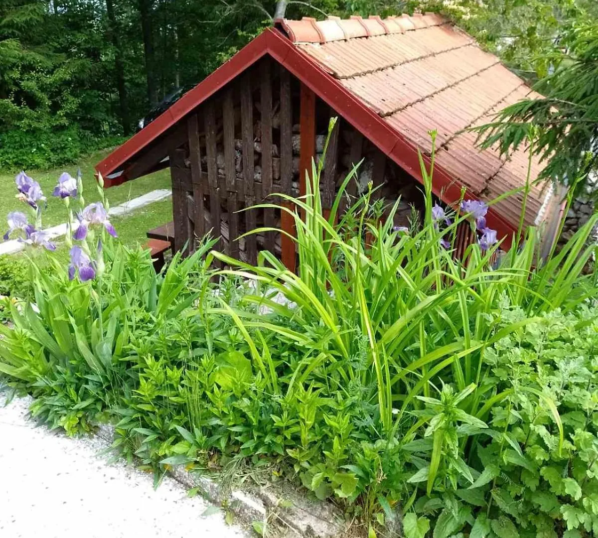 House Polane In The Forest, 45 Km From Seaside Croatia