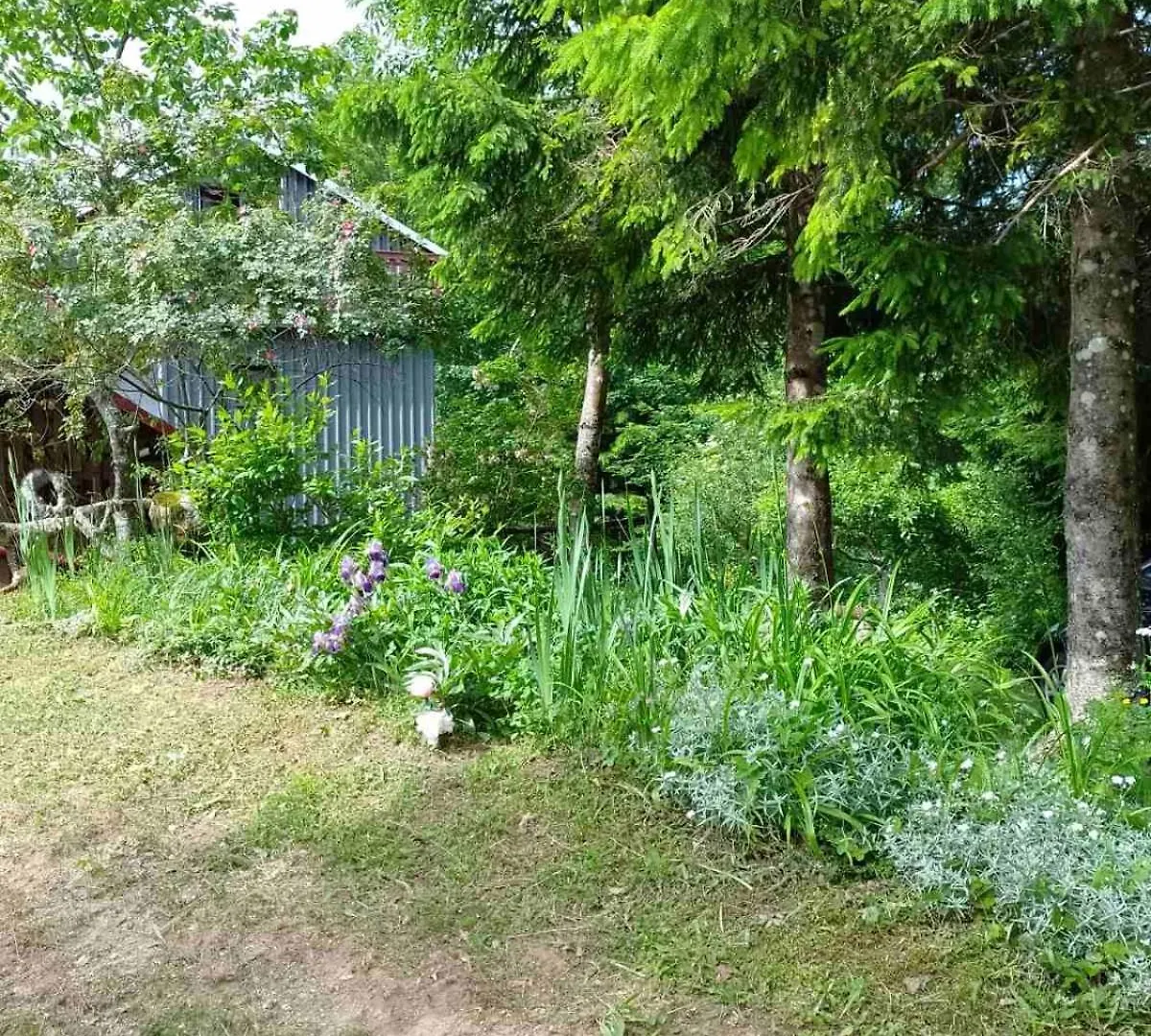 House Polane In The Forest, 45 Km From Seaside 0*, Delnice Croatia